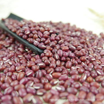 Adzuki bean 2016 cosecha 4.5-6.0mm mercado de China con alta calidad